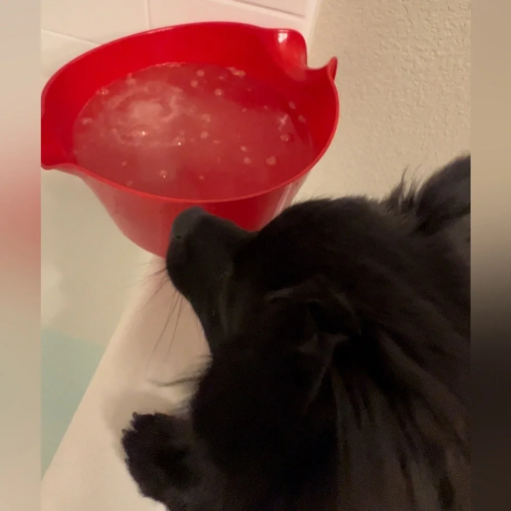 Pet- friendly oatmeal bath bombs for dogs.
